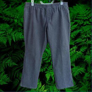 JMS Just My Size Womens Pull On Jeans Elastic Waist Gray Heather Size 2X